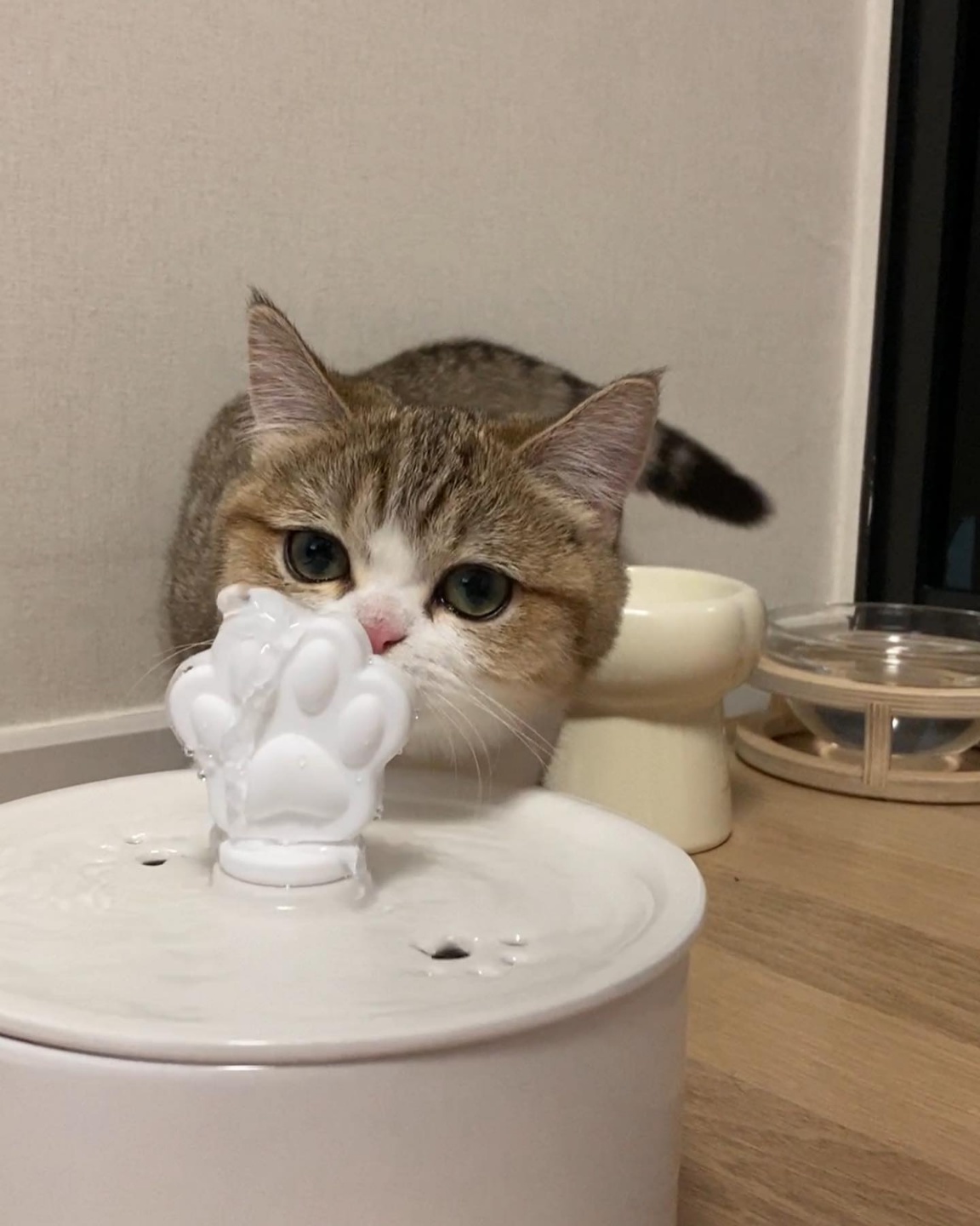 KakaoTalk_20230420_112806977_06.jpg