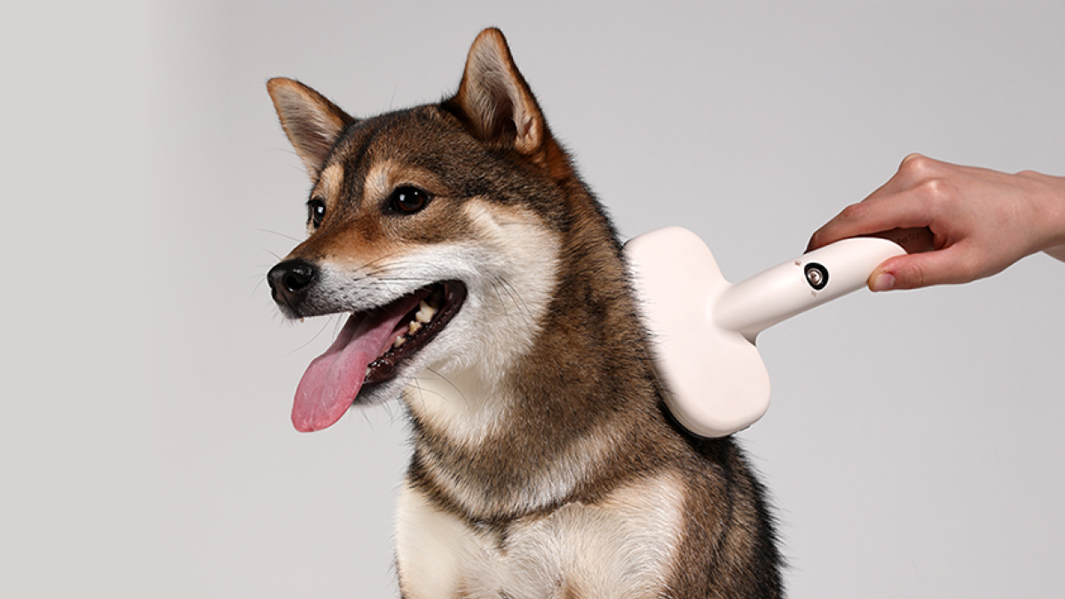 [신개념 펫스타일러] 마사지와 살균을 한번에! 이제 빗질말고 빛.질하세요