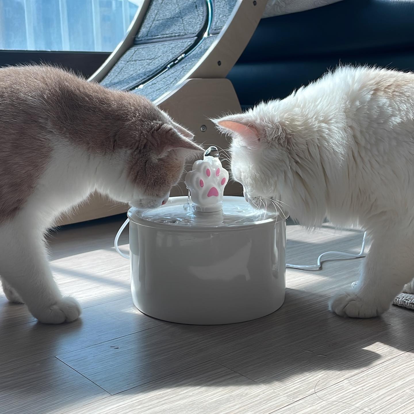 KakaoTalk_20230420_112806977_09.jpg