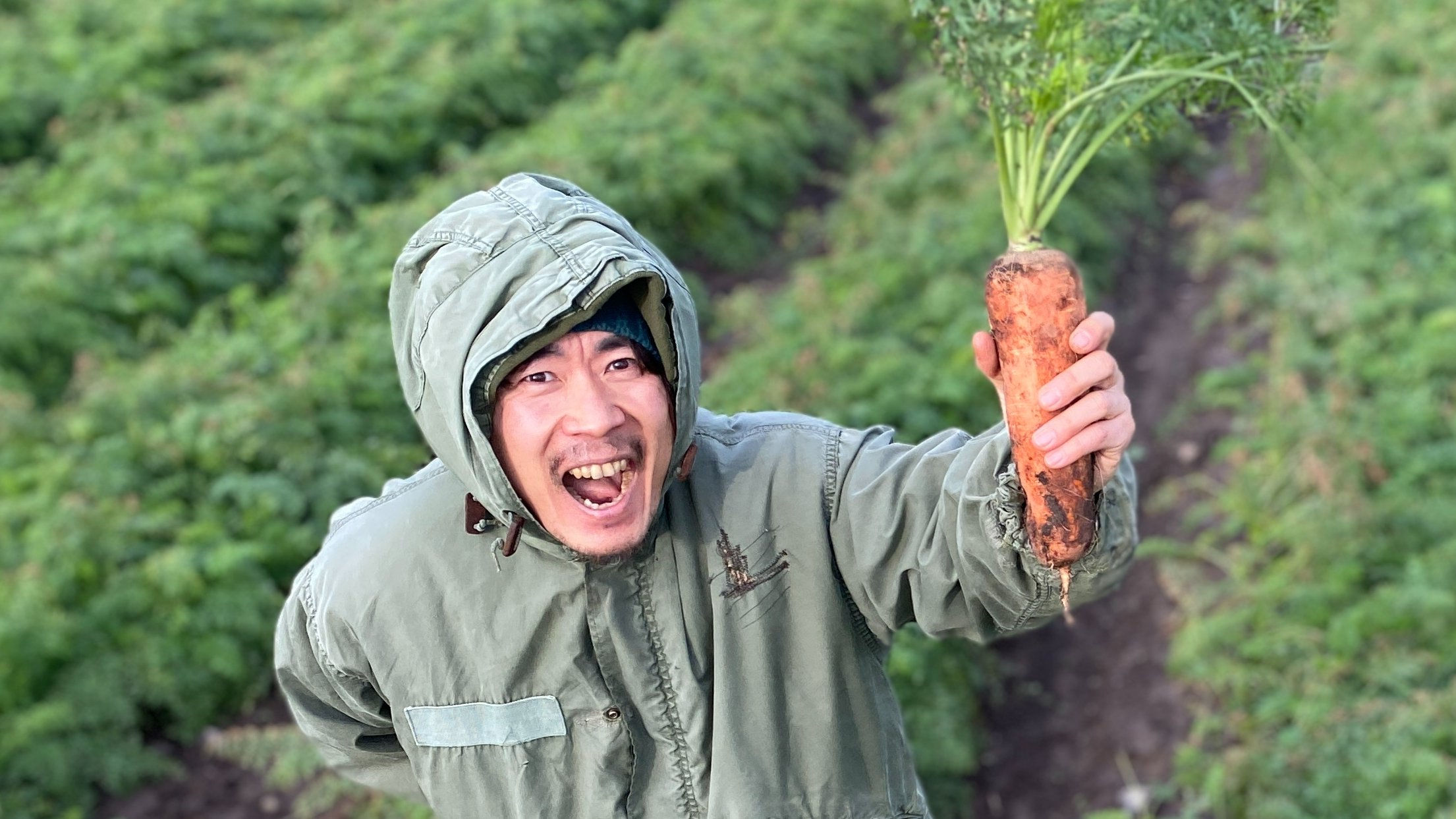 설탕 넣었냐고 의심받는 당근주스용 제주도 구좌읍 제철 정품 생당근 