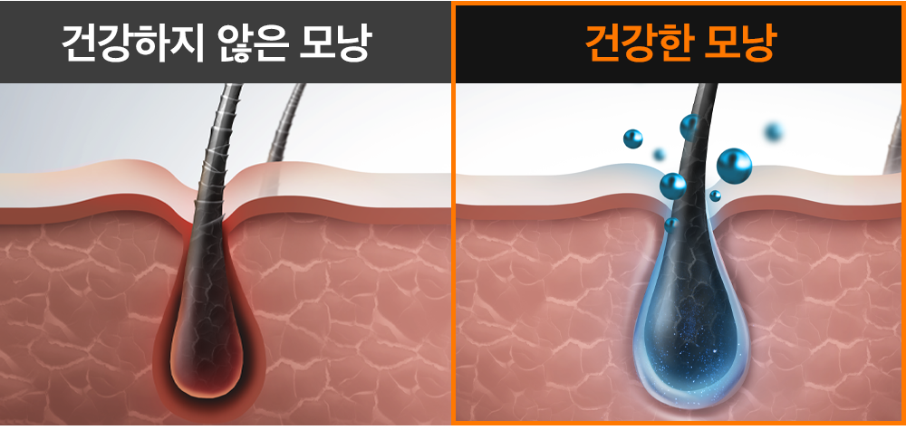 펩타이드-속눈썹8_09.png