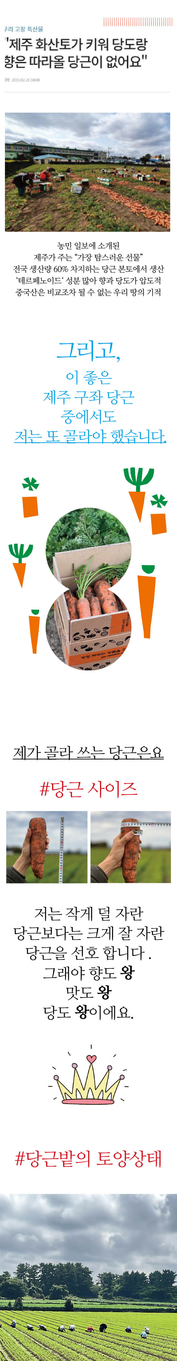 20231223 당근 와디즈3.jpg