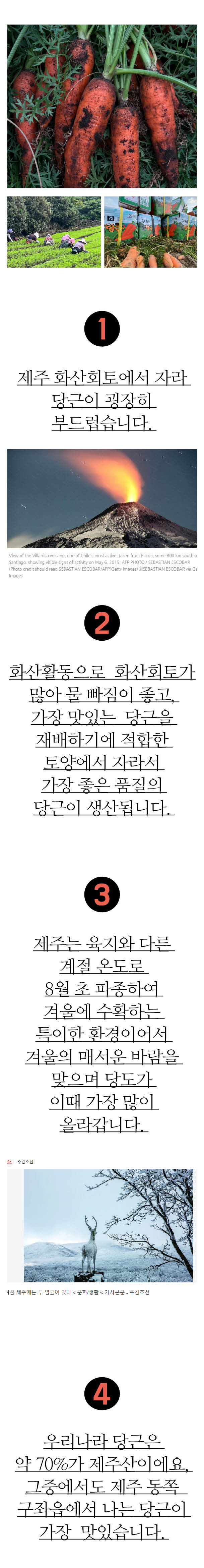 20231223 당근 와디즈2.jpg