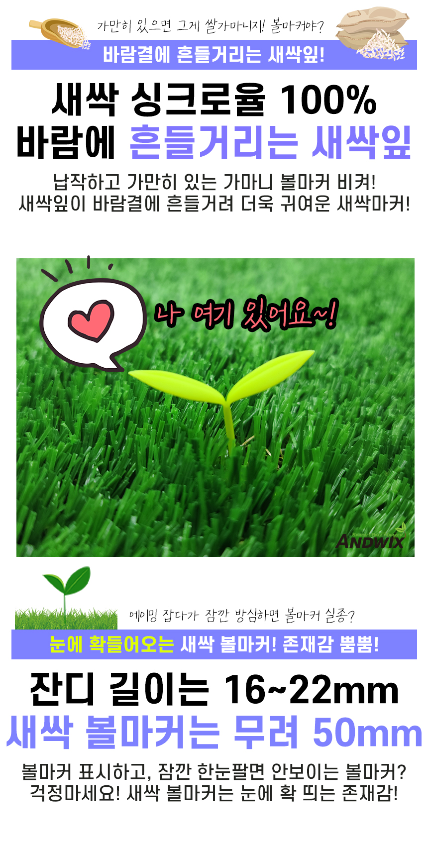 s03.jpg