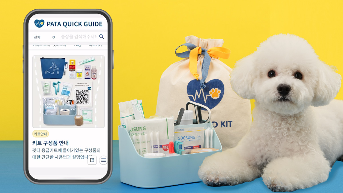 [댕냥집사 필수템] 반려동물 스마트 응급키트 & 1초 퀵 응급가이드