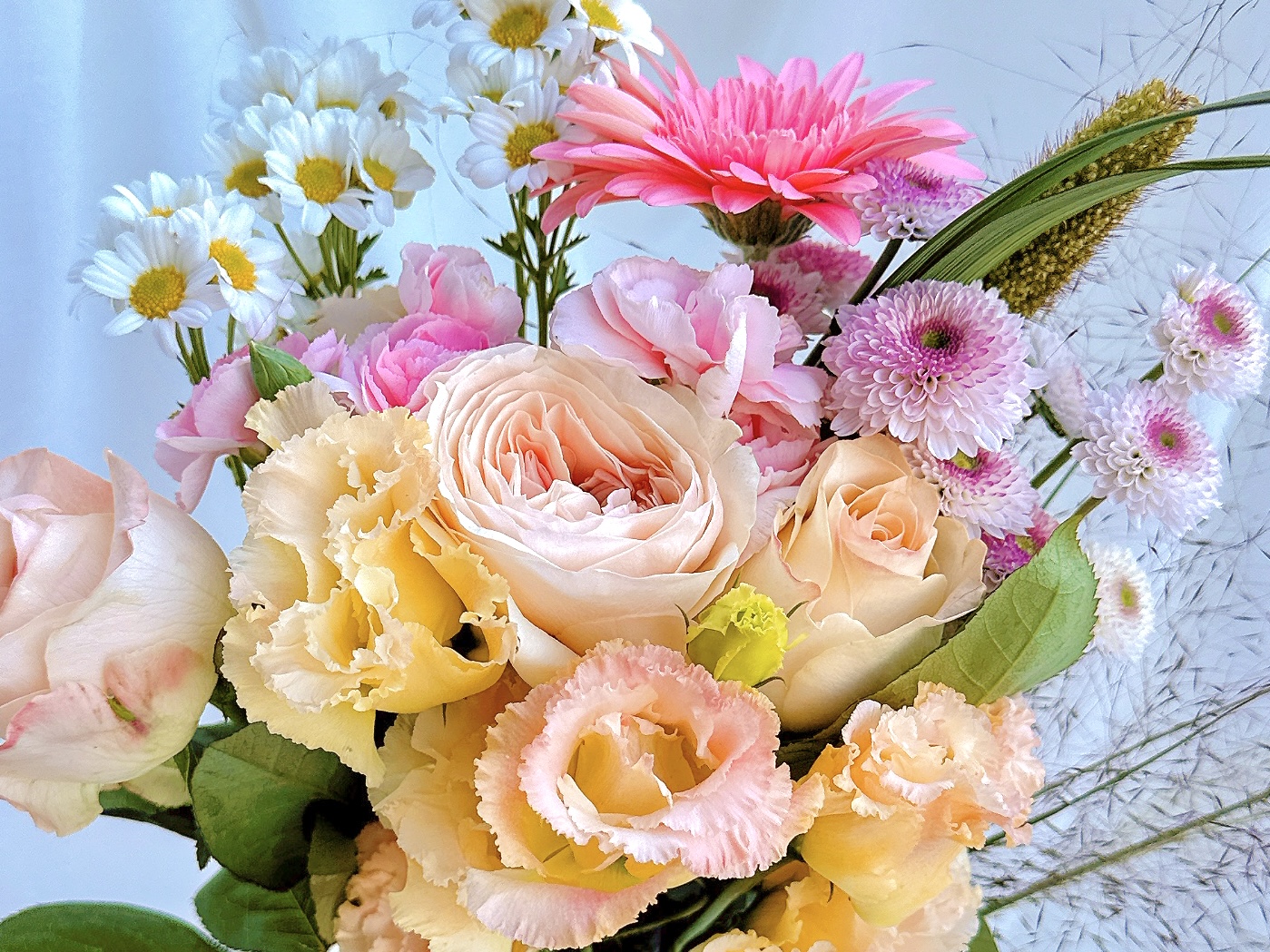 Encore | There’s a reason why flower subscriptions hit 150 million won. From flower auctions straight to your home.