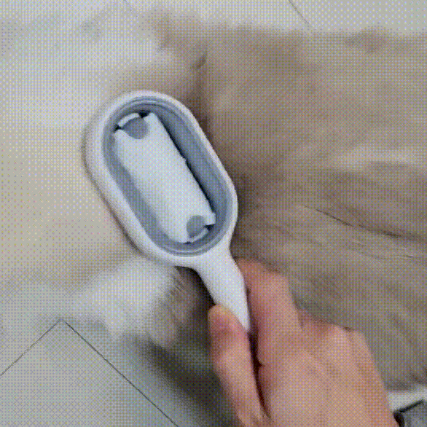 彪哥猫[00h00m00s-00h00m03s].gif
