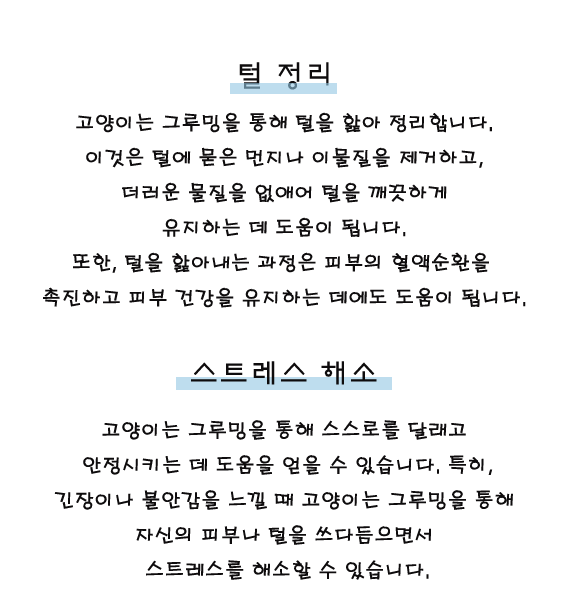 文字主页2_01.gif