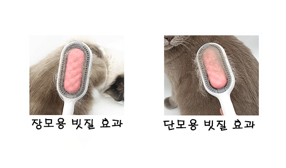 主页文字3_09.gif