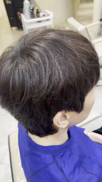 Gif_5d4afa7c-6d73-40fd-a666-8da7329aabad.gif