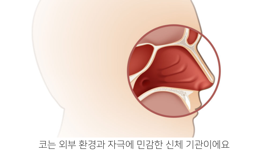 코속.png