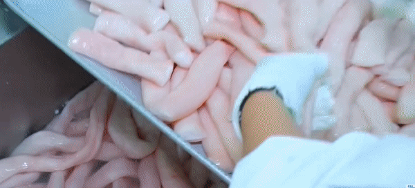 대창자름.gif