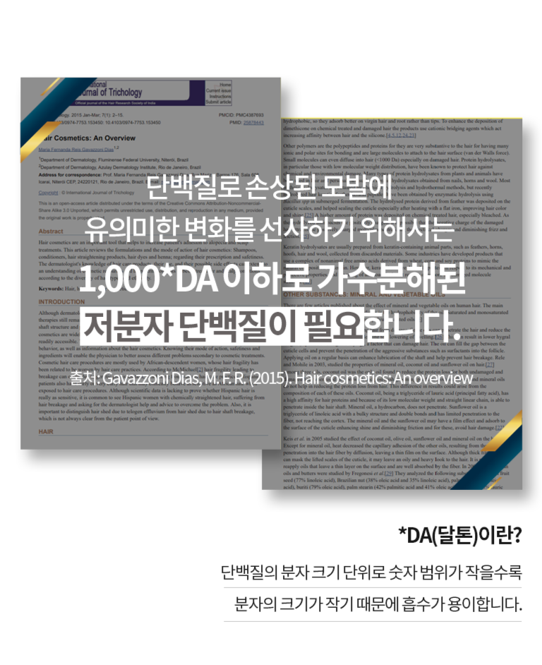 두피 및 모발 영양 성분