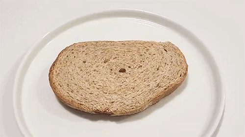토스트-한방조리.gif