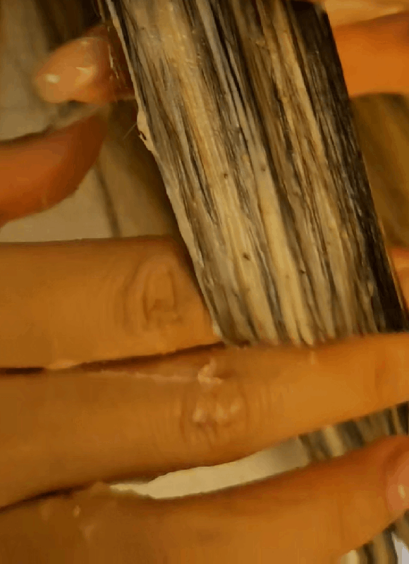 ezgif.com-cut (3).gif