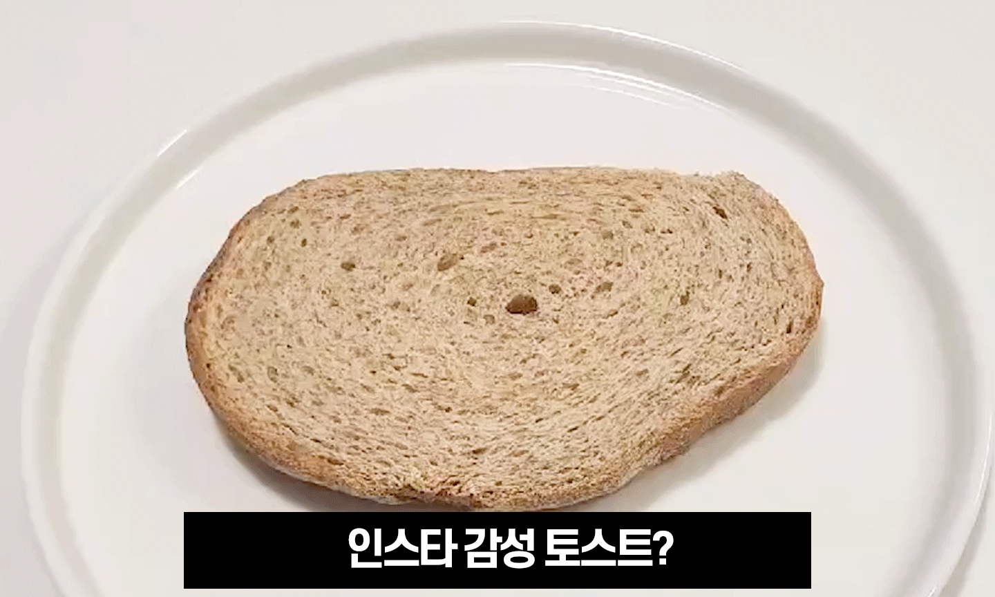 파브리-한방조리-토스트.gif