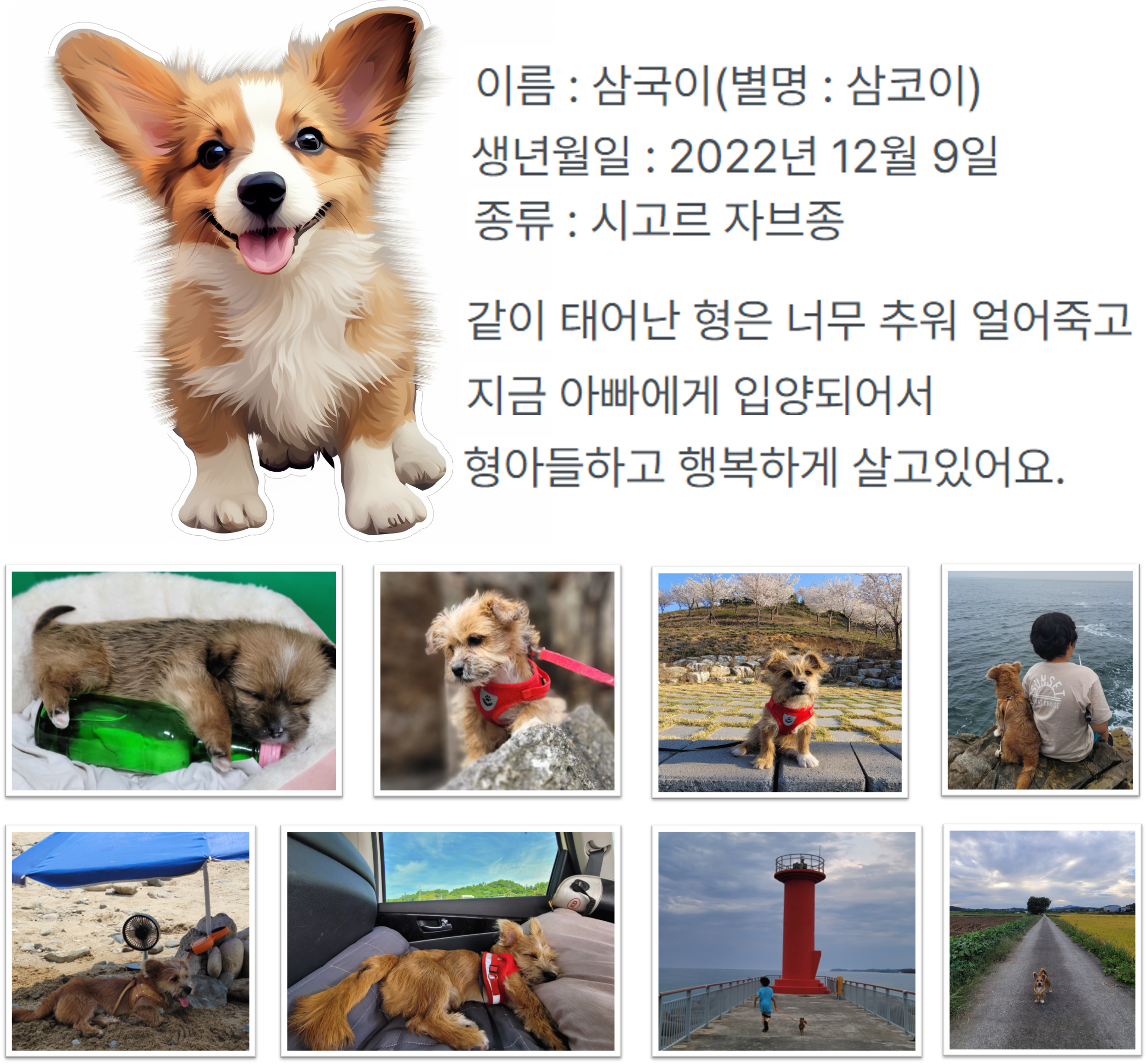 삼국이_소개.png
