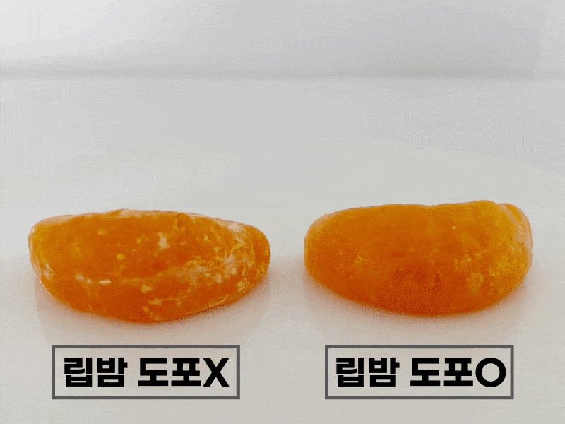 귤테스트동영상2.gif