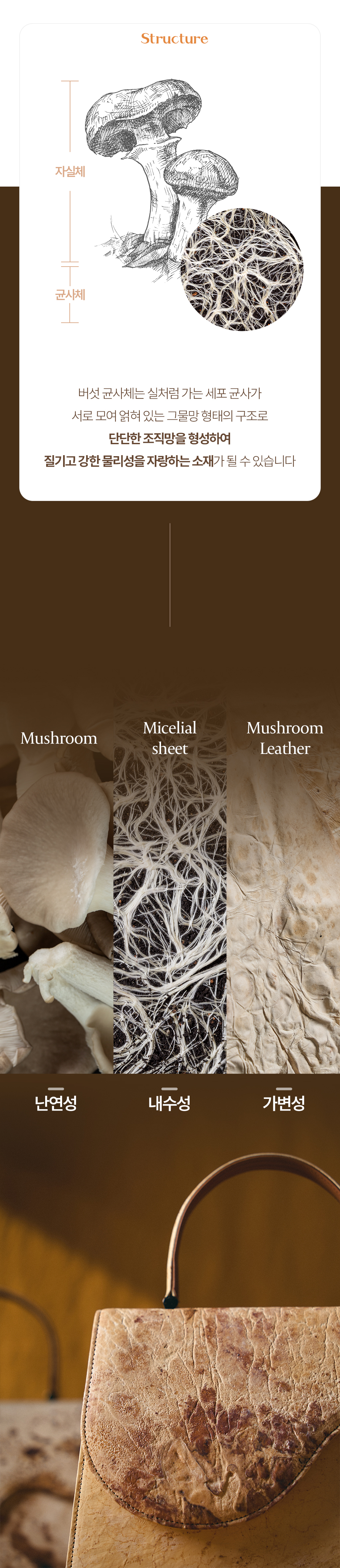 23 수정.jpg