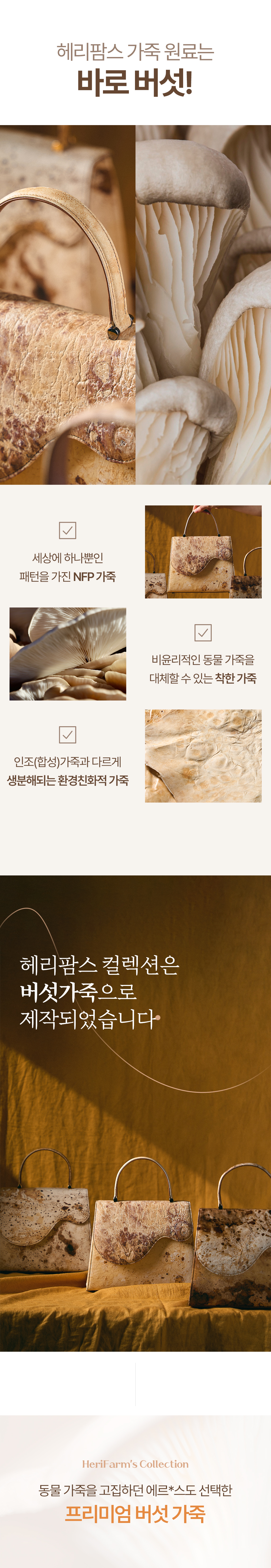 10 수정.jpg