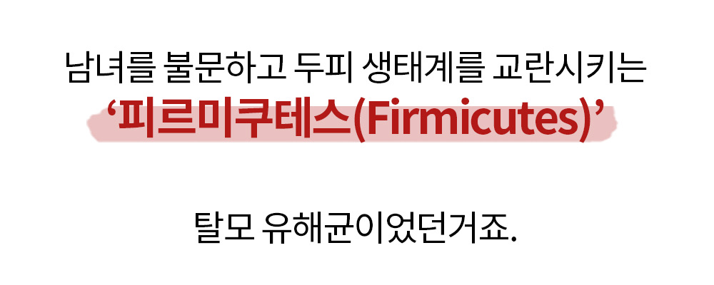 13_최종_저.jpeg