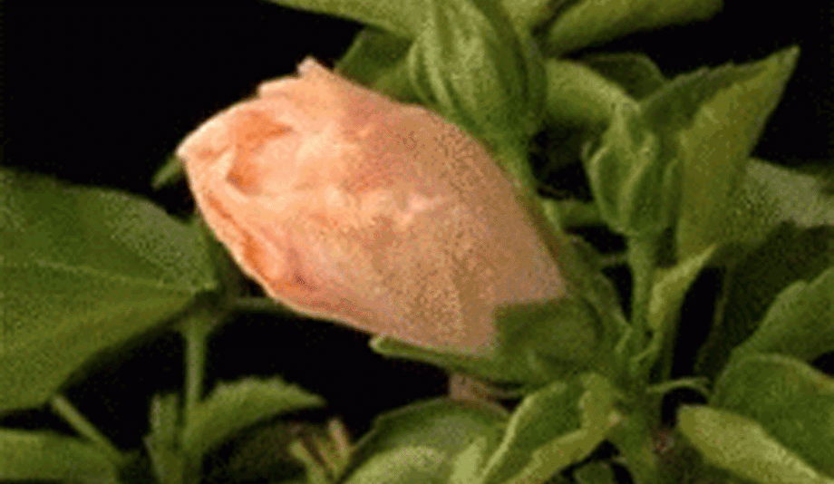 25 저.gif