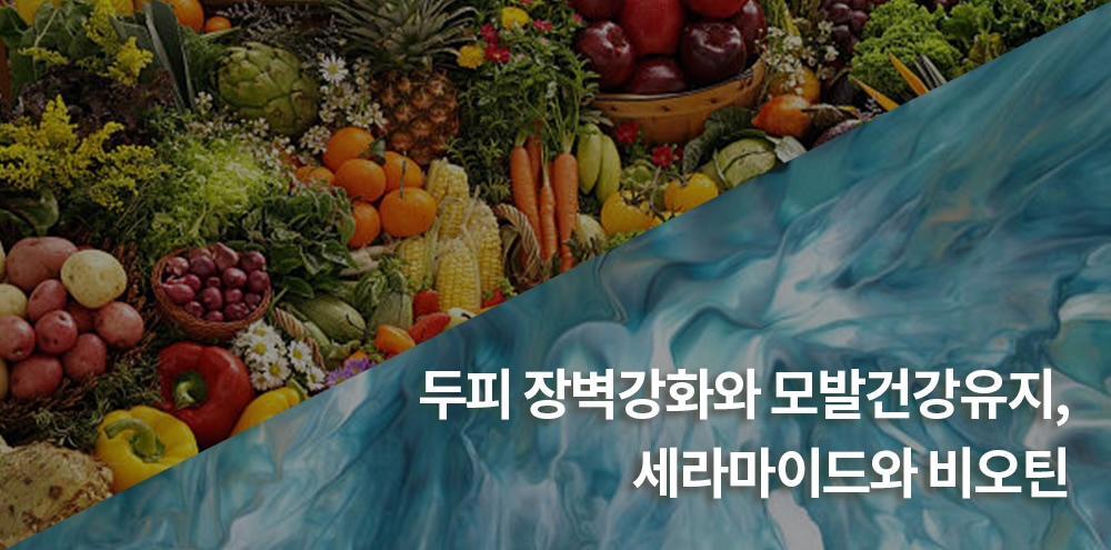 39_수정 저.jpg