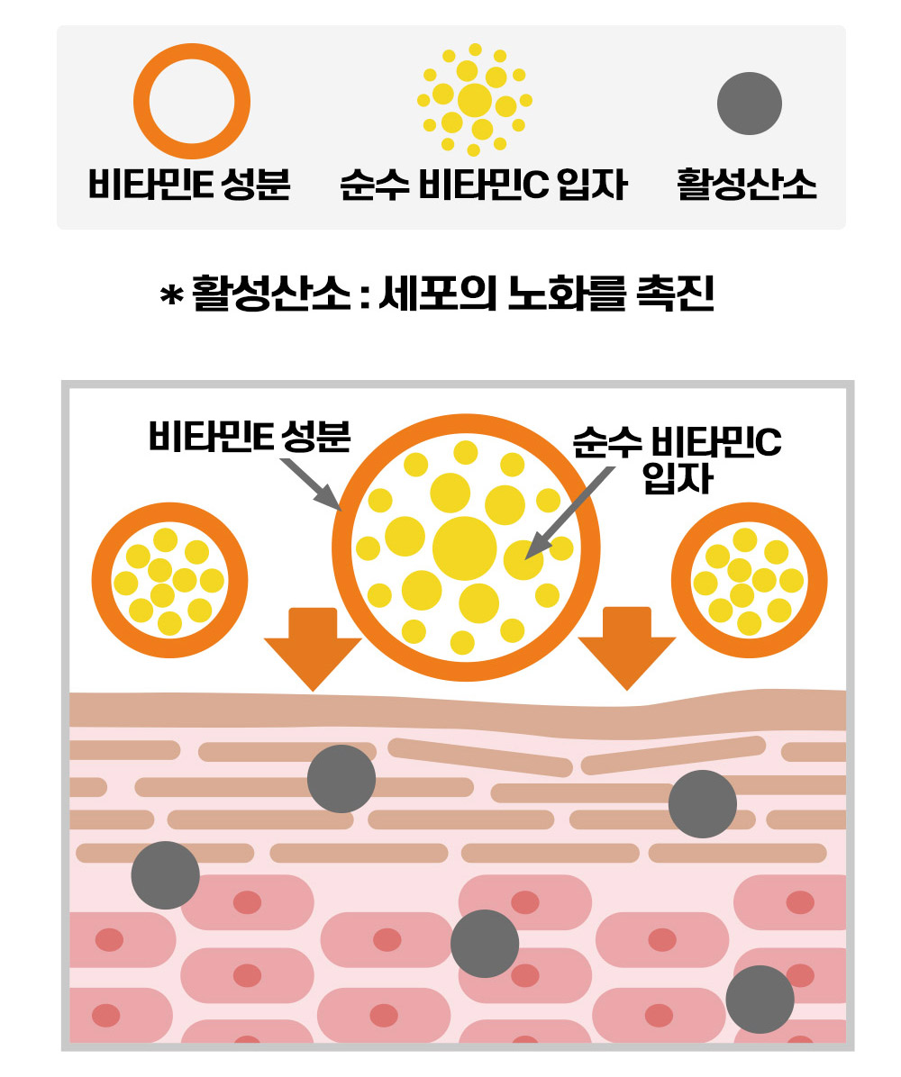 씨라클-립페어스_상세페이지_1_19.jpg