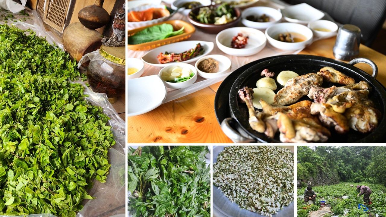 당치 나물류.jpg