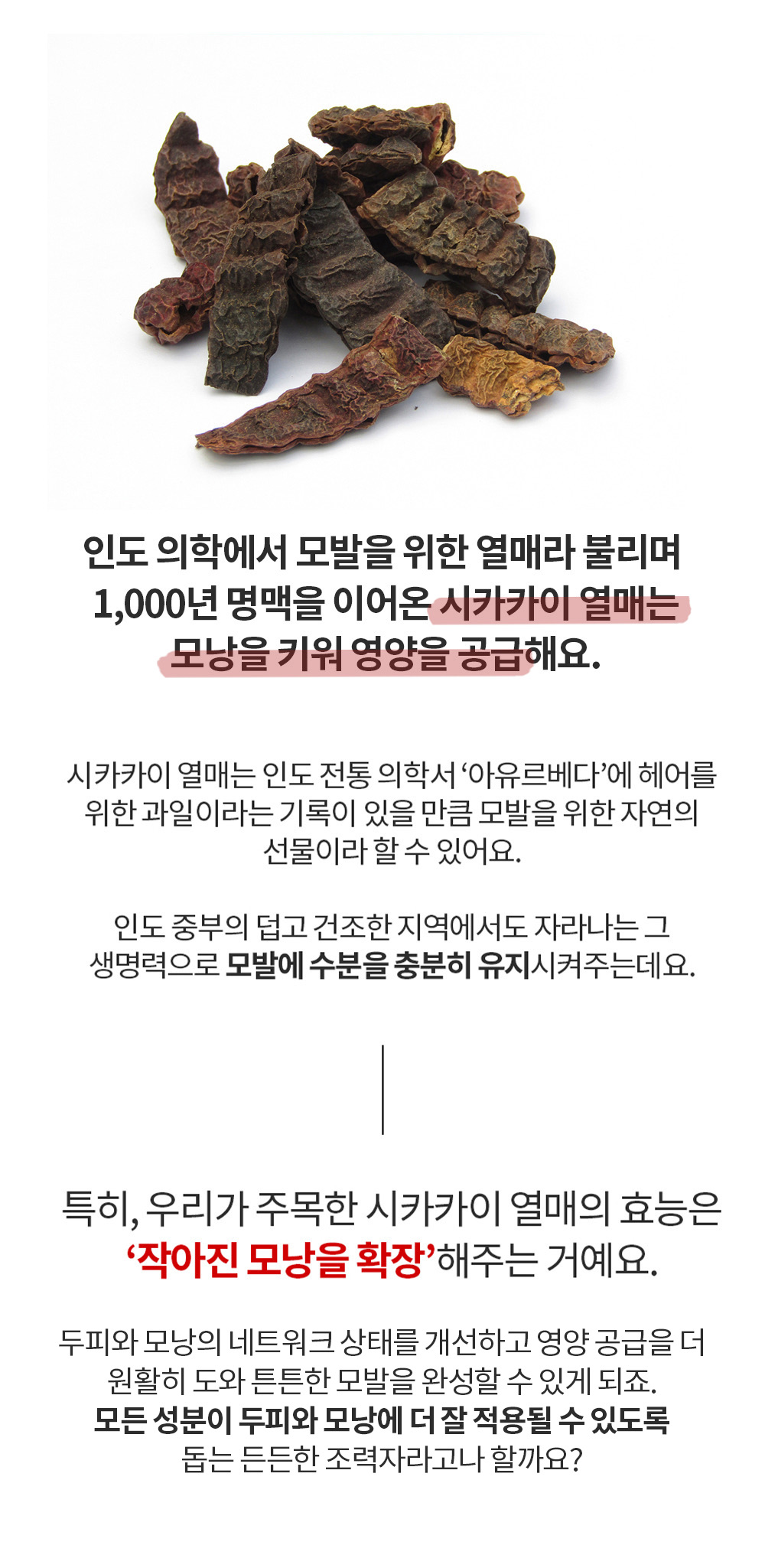 37 최종_저.jpeg
