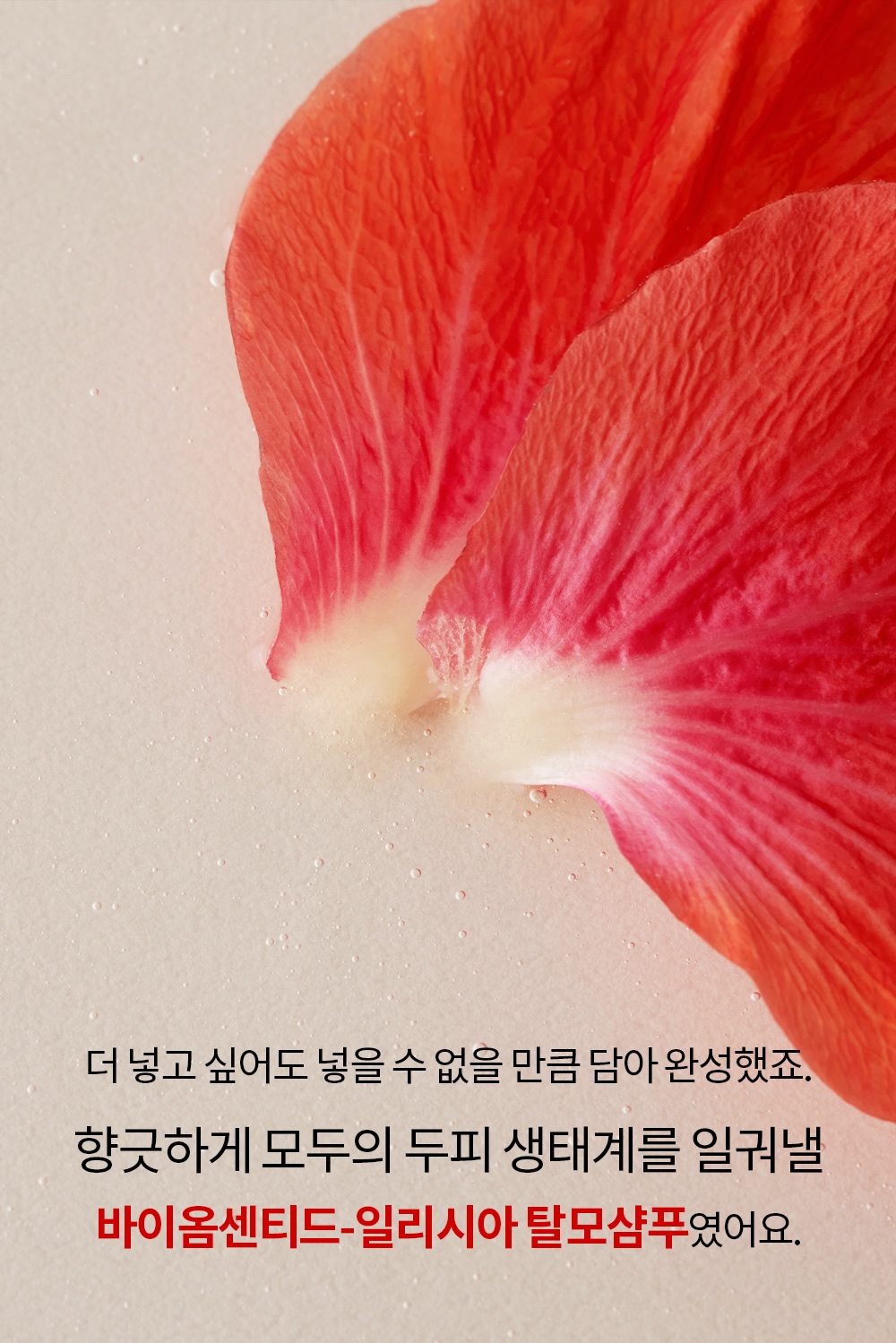 60 저.jpg
