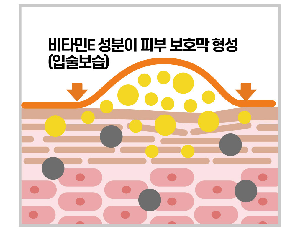 씨라클-립페어스_상세페이지_1_20.jpg