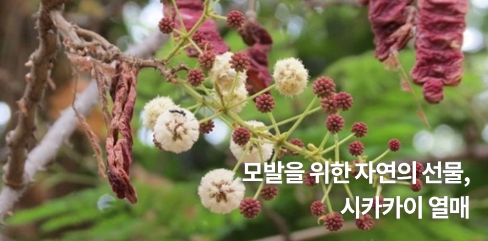 36 저.jpg