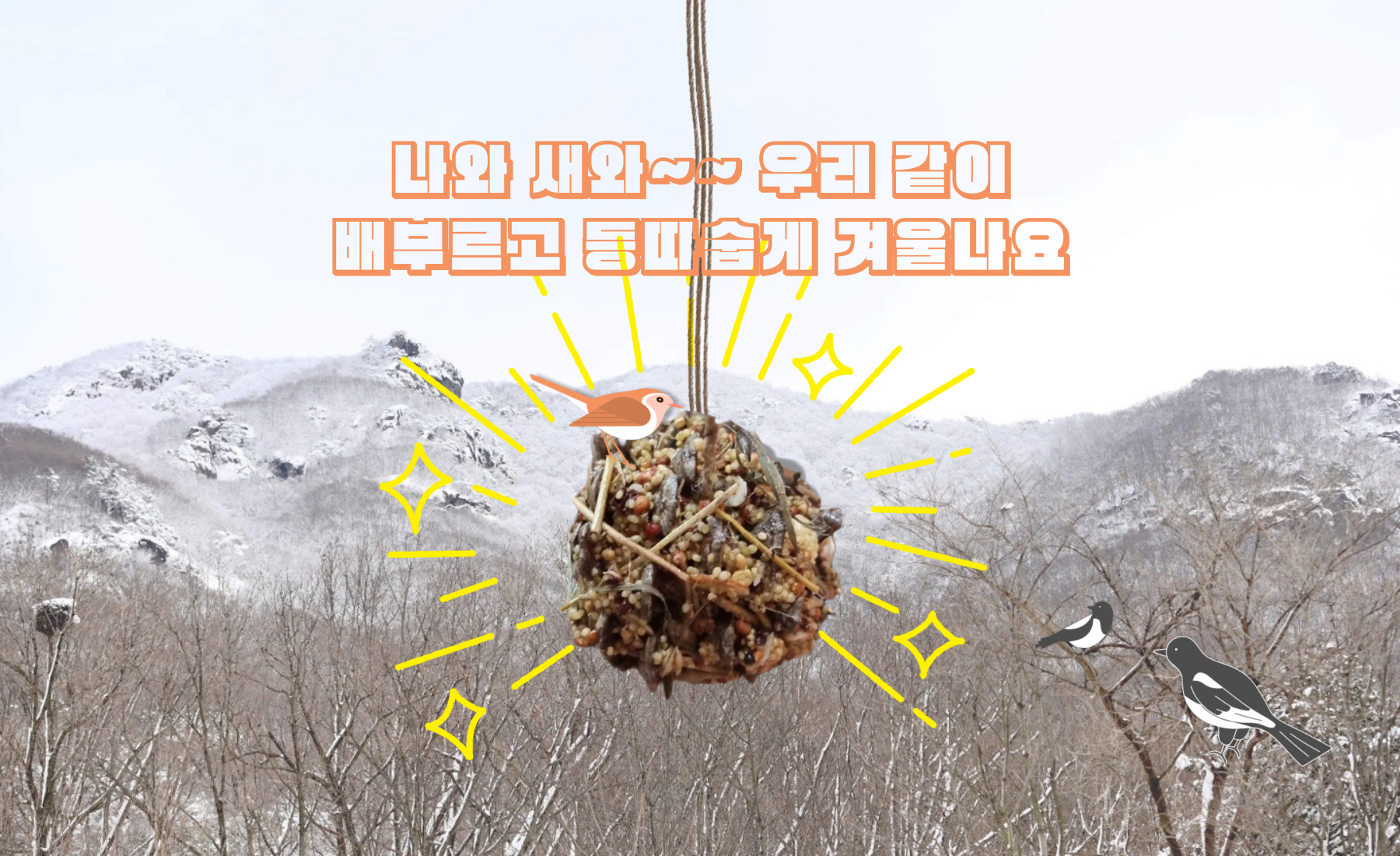 2024년 겨울숲 버드피딩 하~새 <나와새와 배불등따 깨알특식>