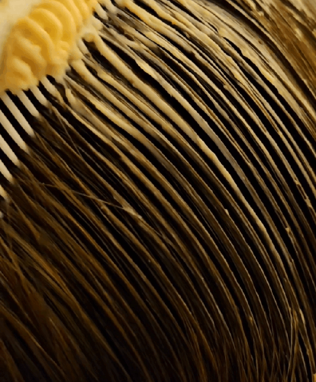 ezgif.com-speed (3).gif