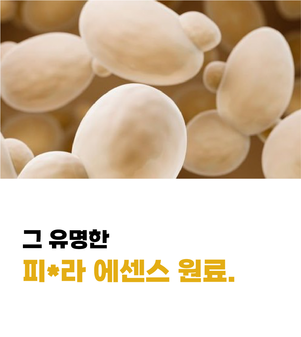 정직한실험실_2차디자인_03_분할본-10.jpg