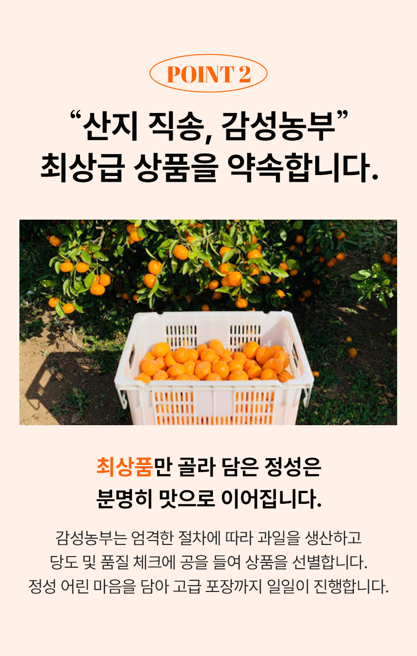 만감류_22.jpg