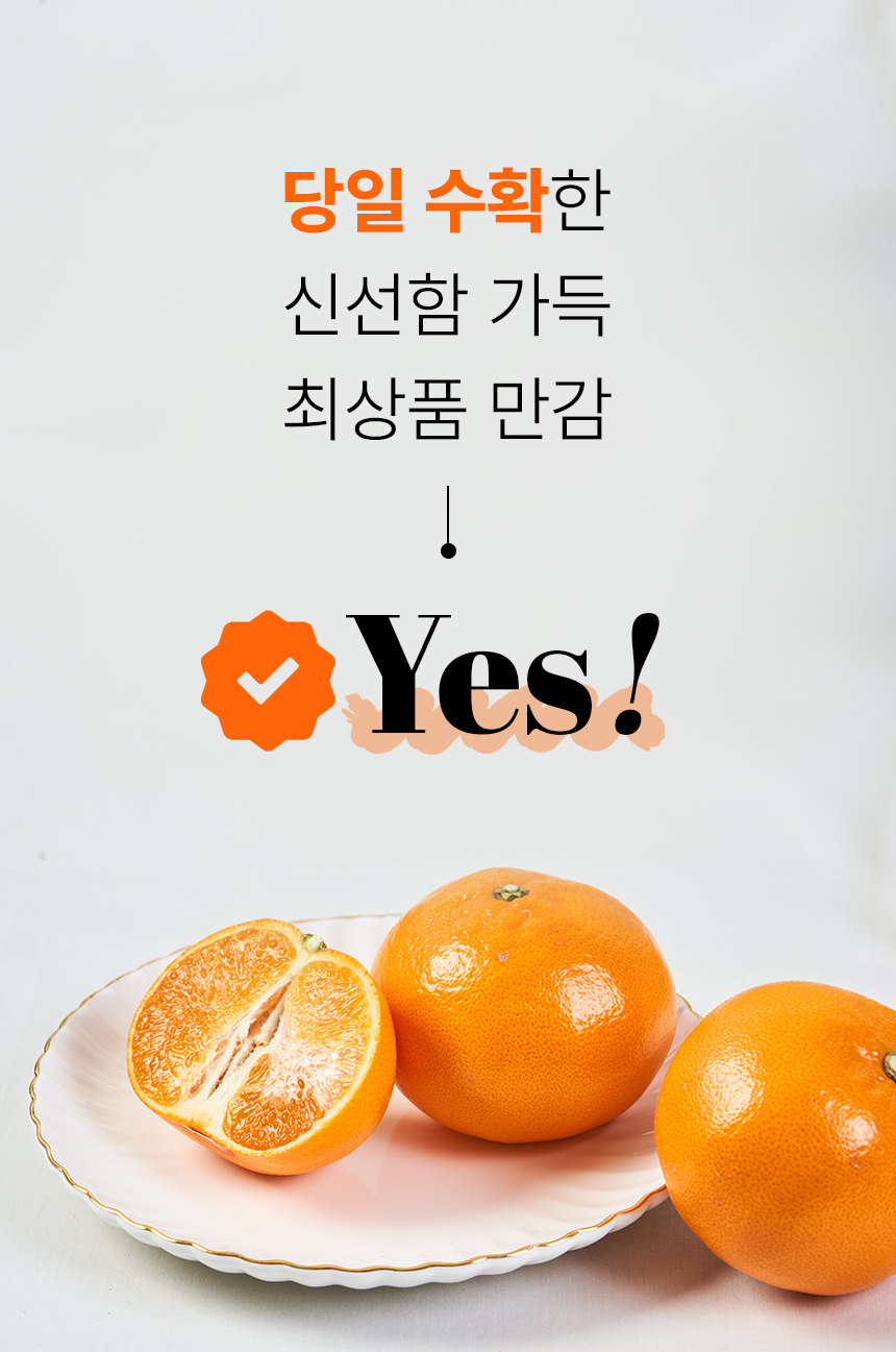 만감류_26.jpg