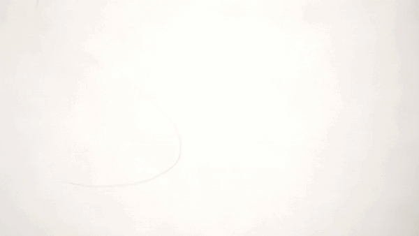 ezgif.com-cut (1).gif