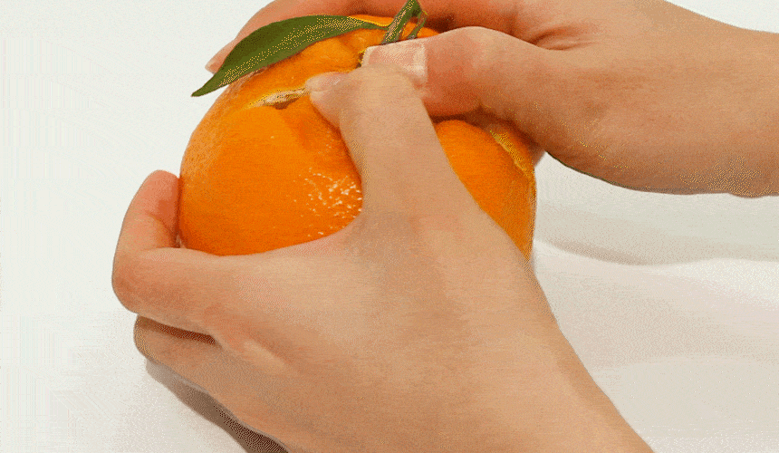만감류_16.gif