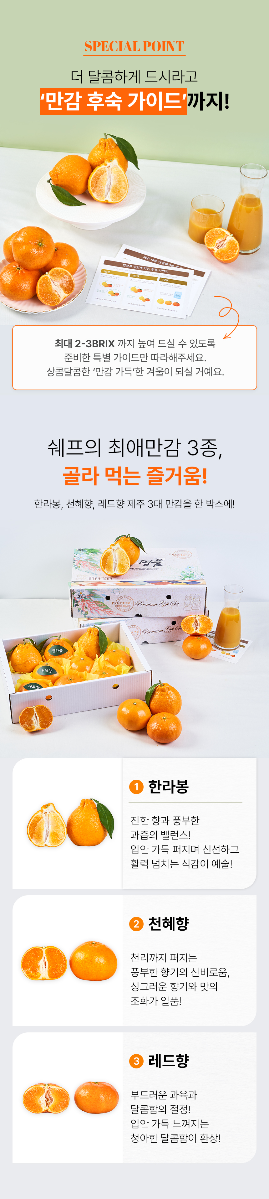 만감류_8.jpg