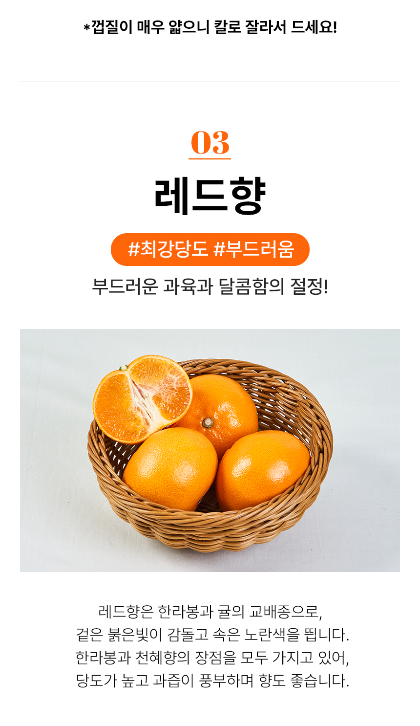 만감류_19.jpg