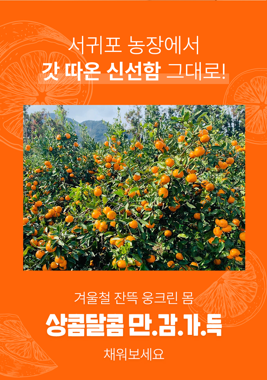 만감류_3.jpg