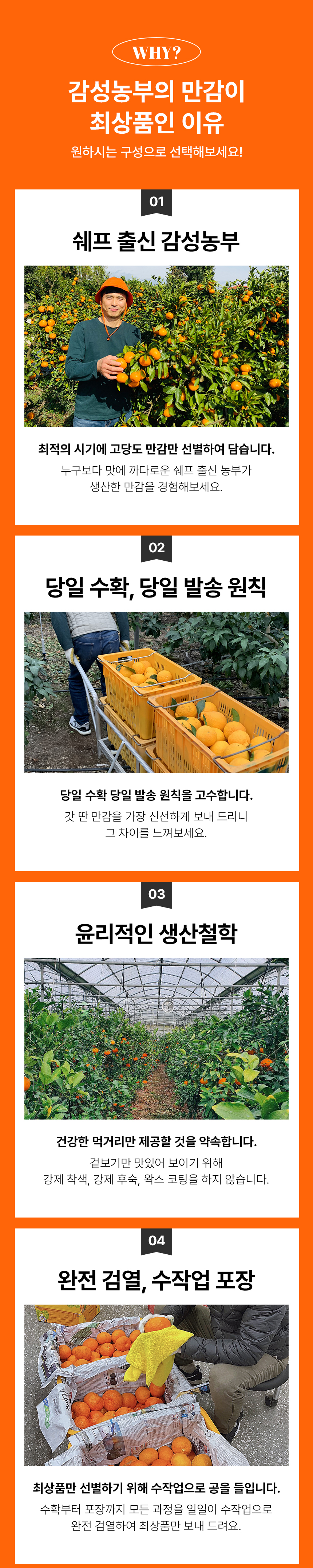 만감류_23.jpg