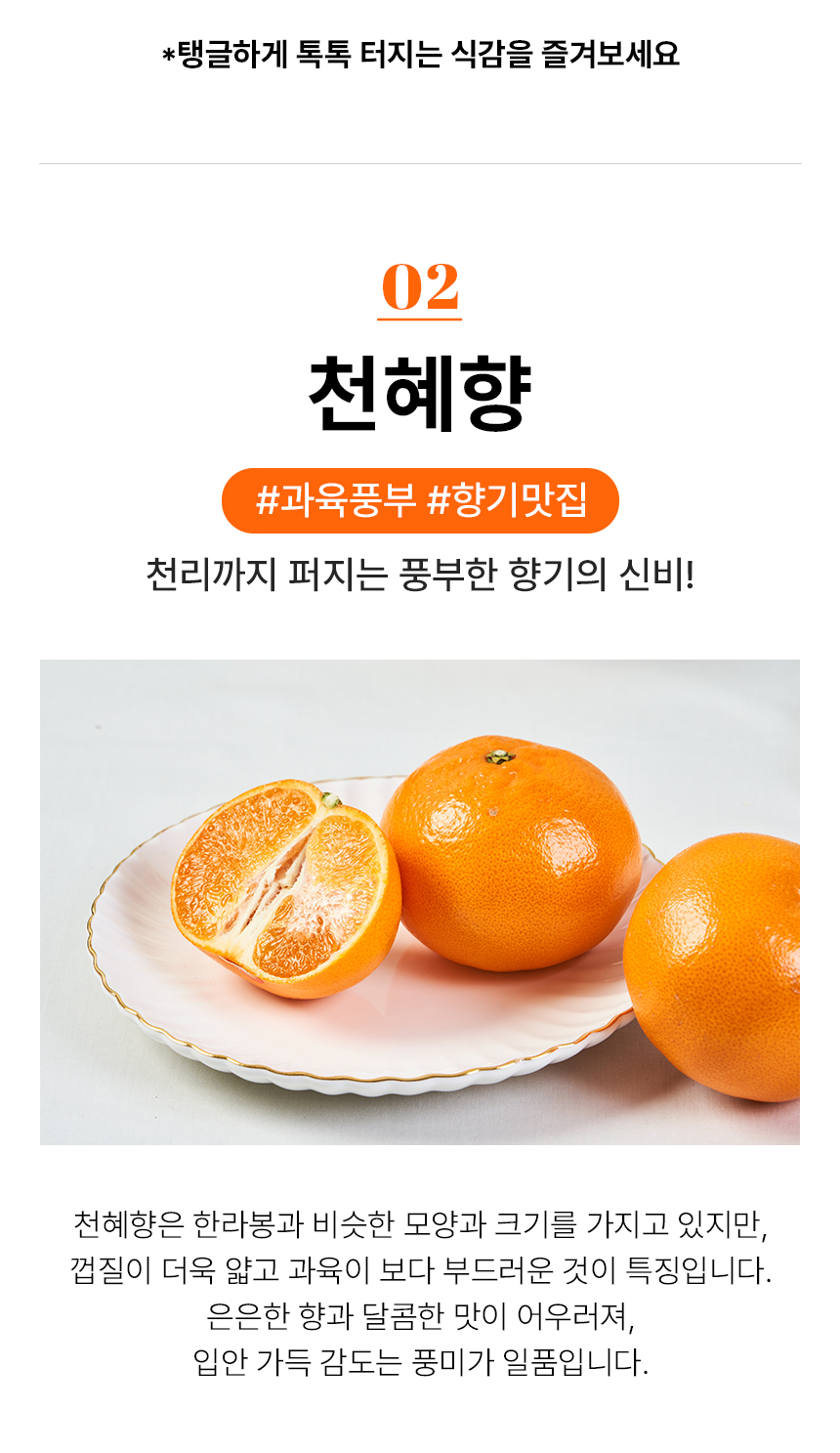 만감류_17.jpg