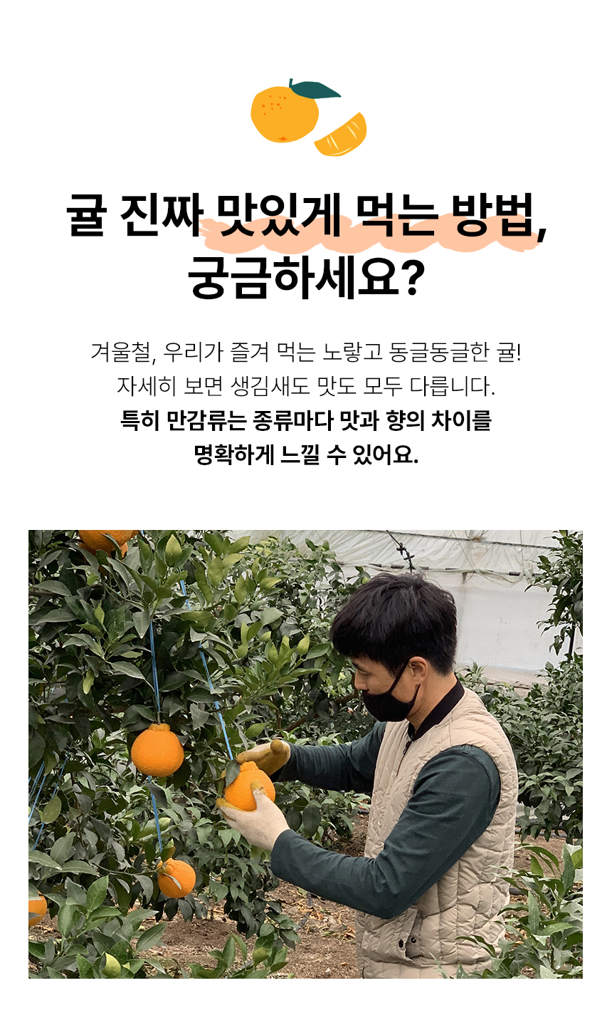 만감류_10.jpg