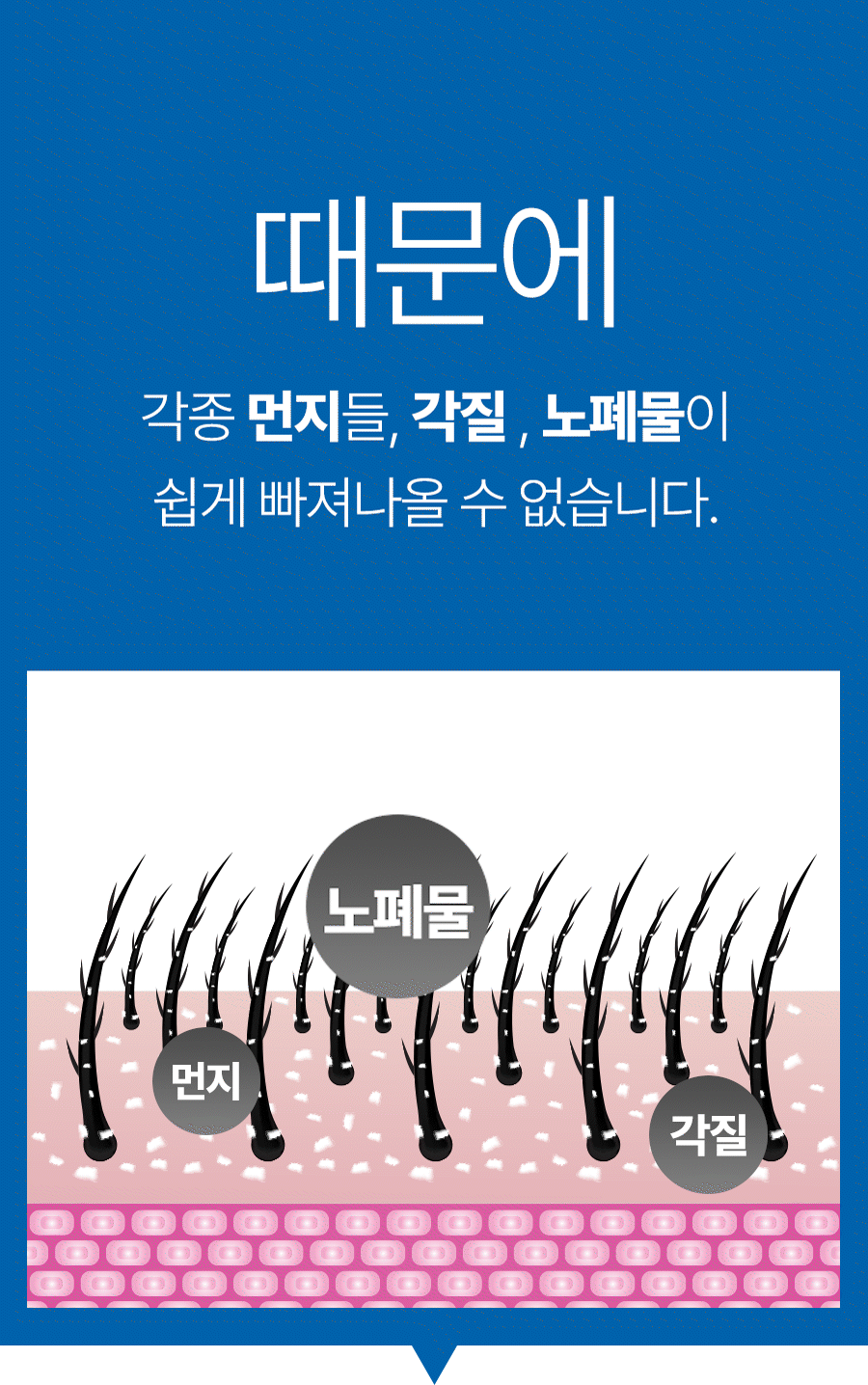 노폐물먼지.gif