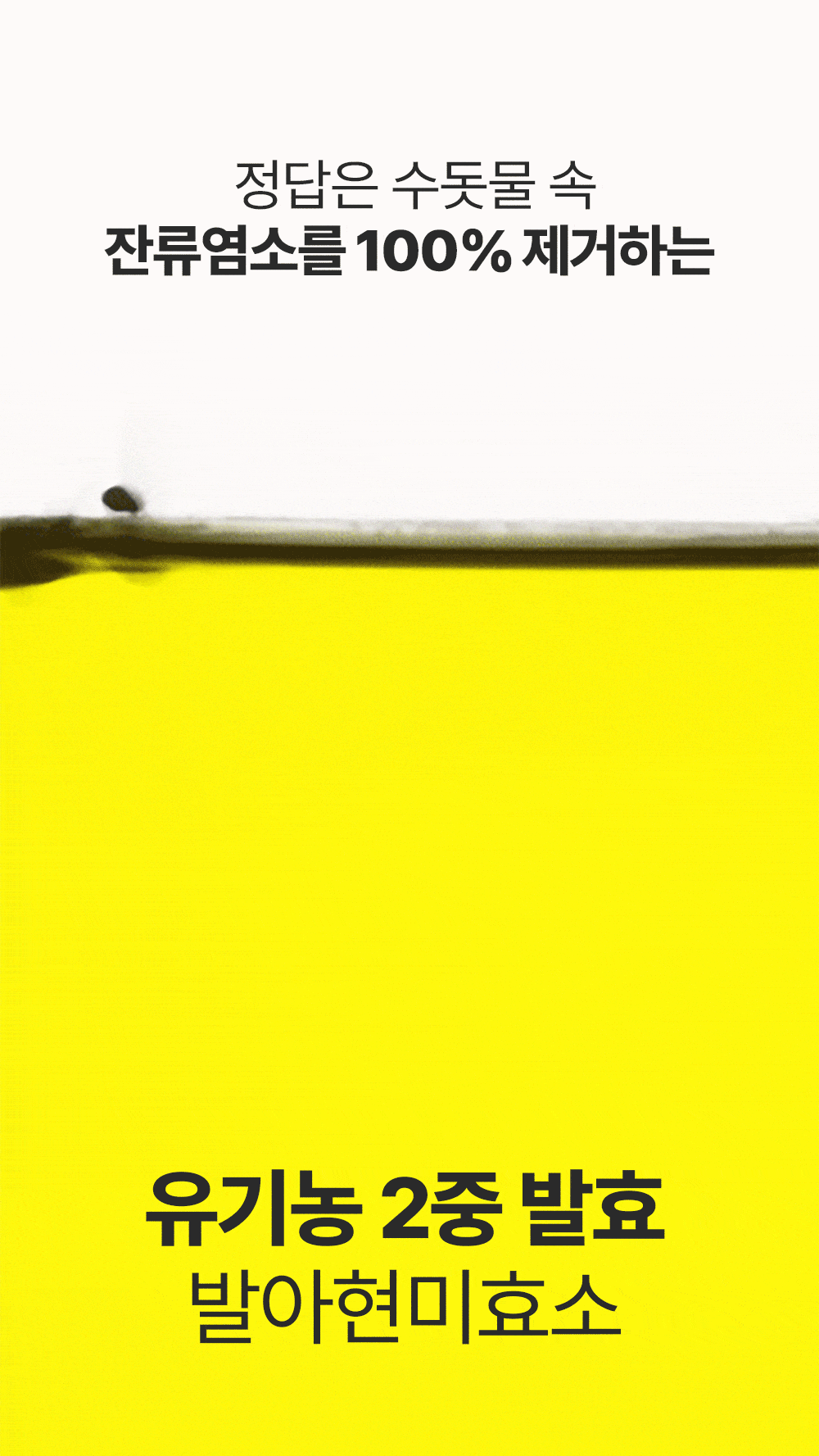 13.gif
