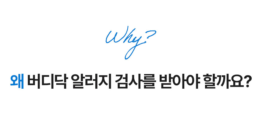 (수정)버디닥-와디즈-상세페이지_03_01.jpg