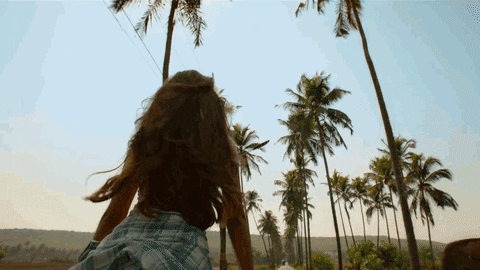free2.gif